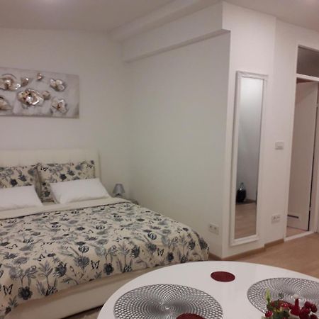 Apartman Mmvg Studio Zagreb Airport Velika Gorica Luaran gambar